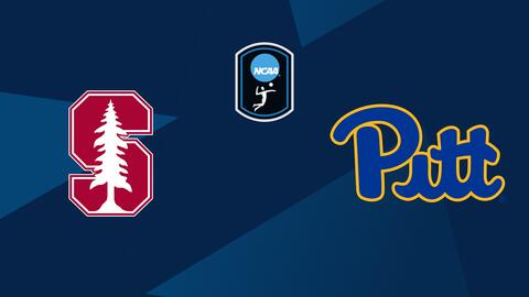 Women's College Volleyball