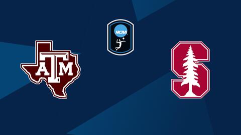 Women's College Volleyball