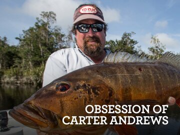 The Obsession of Carter Andrews