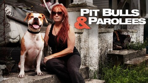 Pit Bulls and Parolees