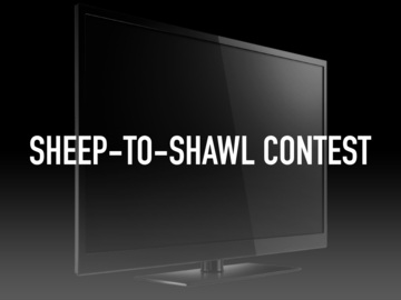 Sheep-to-Shawl Contest