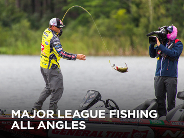 MLF All Angles