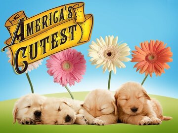 America's Cutest