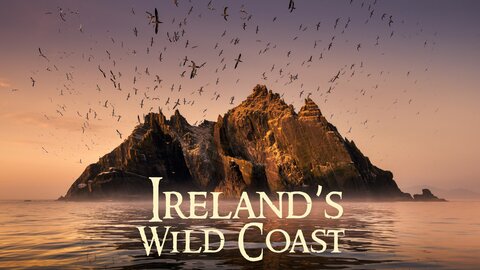 Ireland's Wild Coast