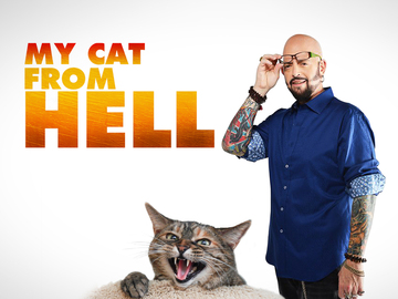 My Cat From Hell