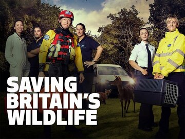 Saving Britain's Wildlife