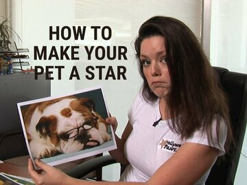 How to Make Your Pet a Star