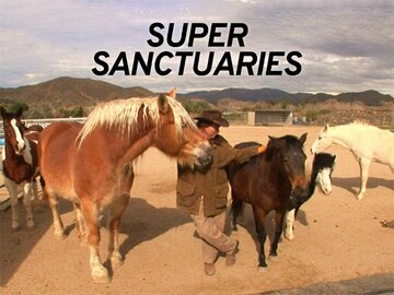 Super Sanctuaries