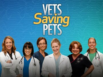 Vets Saving Pets