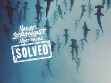 Nature's Strangest Mysteries: Solved