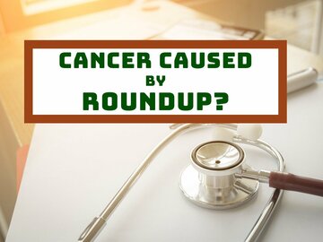 Cancer Caused by Roundup?