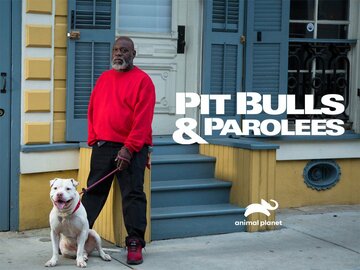 Pit Bulls and Parolees