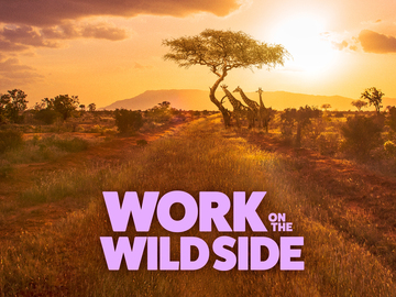 Work on the Wild Side Work on the Wild Side