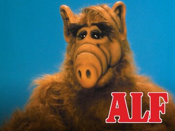 ALF ALF