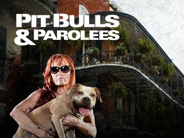 Pit Bulls and Parolees