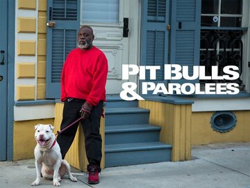 Pit Bulls and Parolees