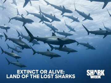 Extinct or Alive: Land of the Lost Sharks
