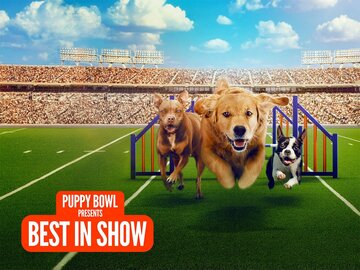 Puppy Bowl Presents: Best in Show