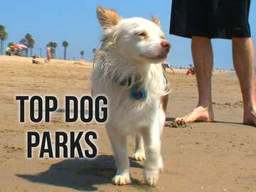Top Dog Parks