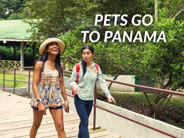Pets Go to Panama