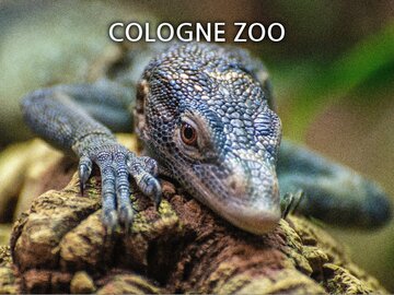 Cologne Zoo