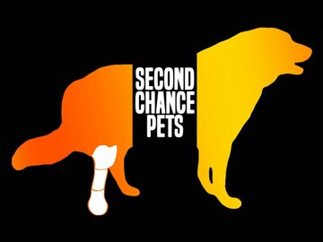 Second Chance Pets