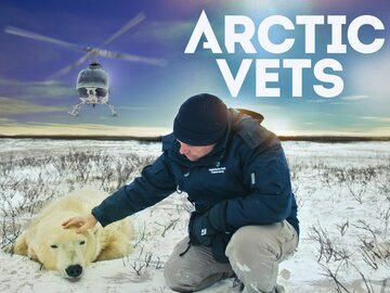 Arctic Vets