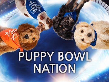 Puppy Bowl Nation