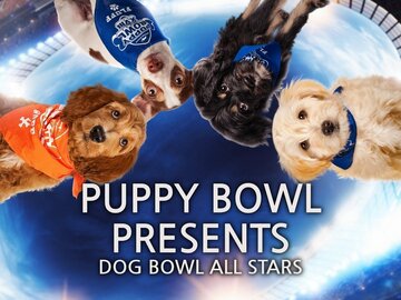 Puppy Bowl Presents: Dog Bowl All Stars