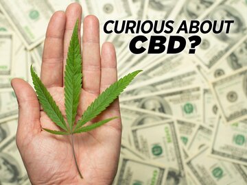 Curious About CBD?