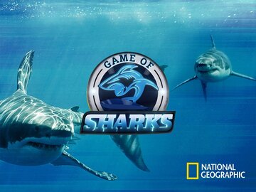 Game of Sharks