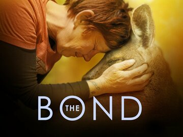 The Bond