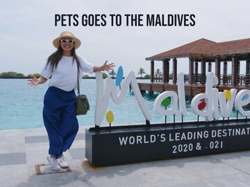 Pets Goes to the Maldives