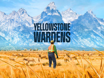 Yellowstone Wardens