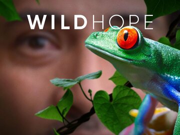 Wild Hope