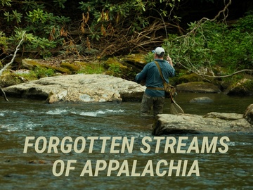 Forgotten Streams Of Appalachia