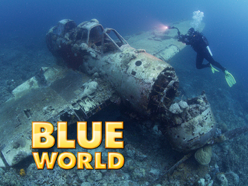 Blue World Blue World