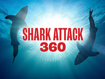 Shark Attack 360