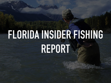 Florida Insider Fishing Report