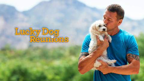 Lucky Dog: Reunions