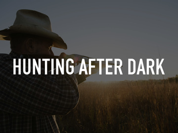 Hunting After Dark