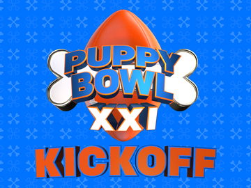 Puppy Bowl XXI Kickoff