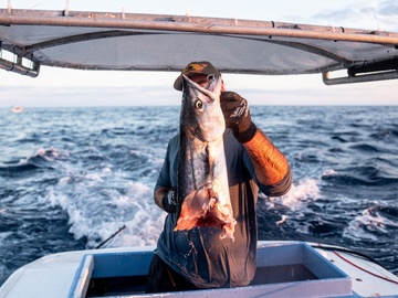 Extreme Catch Extreme Catch