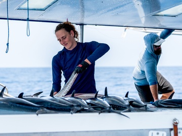 Extreme Catch Extreme Catch