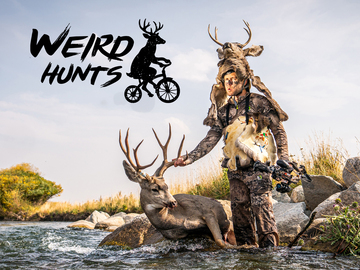 Weird Hunts