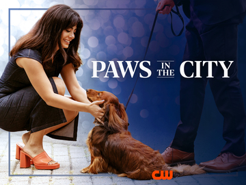 Paws in the City