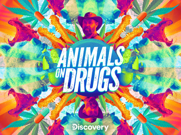 Animals on Drugs