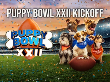 Puppy Bowl XXII Kickoff