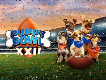 Puppy Bowl XXII