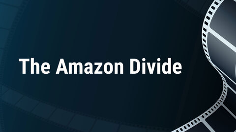 The Amazon Divide